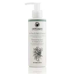 Sampon antimatreata tea tree plante 200ml - ODYLIQUE
