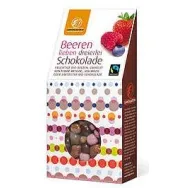 Boabe fructe padure invelite mix ciocolata eco 90g - LANDGARTEN