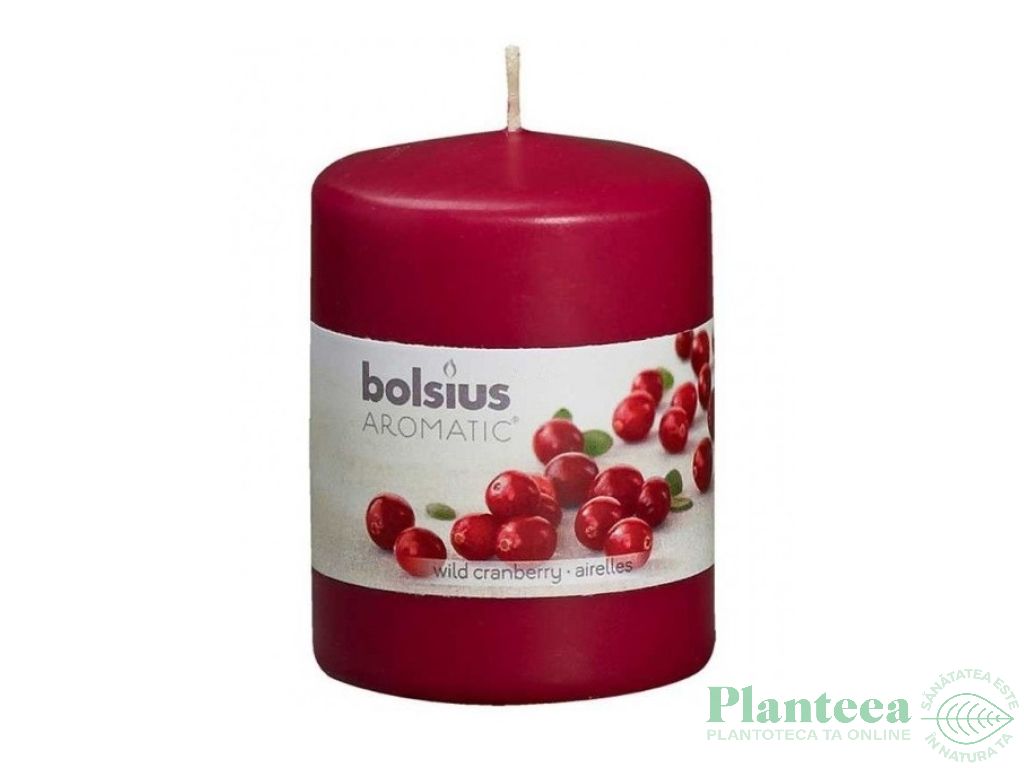 Lumanare parfumata stalp 22h merisor salbatic 160g - BOLSIUS