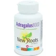 Astragalus 8000mg 90cps - NEW ROOTS HERBAL
