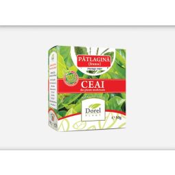 Ceai patlagina 50g - DOREL PLANT