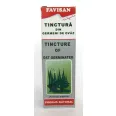 Tinctura germeni ovaz 50ml - FAVISAN