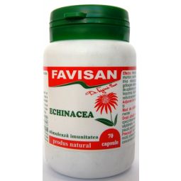 Echinaceea 70cps - FAVISAN