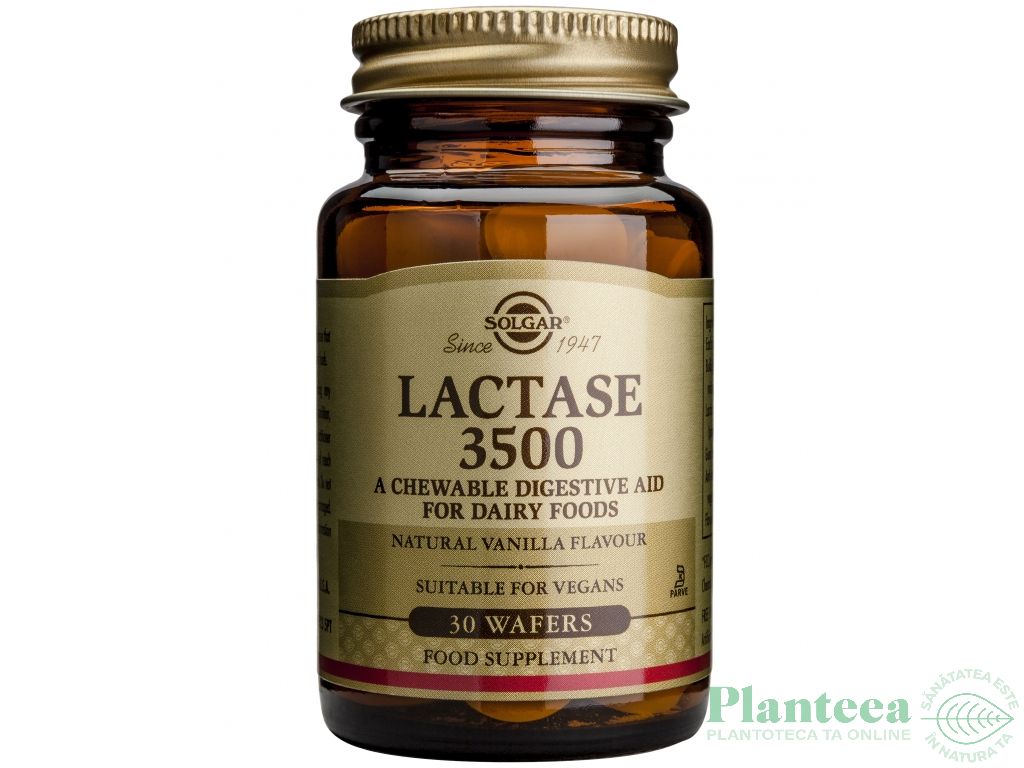 Lactase 3500 30cp - SOLGAR