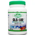 GLS 500 120cps - ORGANIKA HEALTH