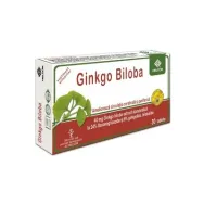 Ginkgo biloba 80mg 30cp - AC HELCOR