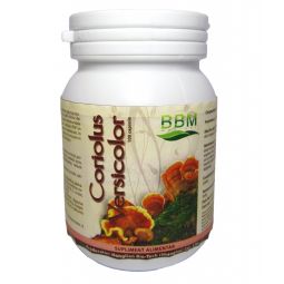 Coriolus versicolor 100cps - HONGLIAN BIOTECH
