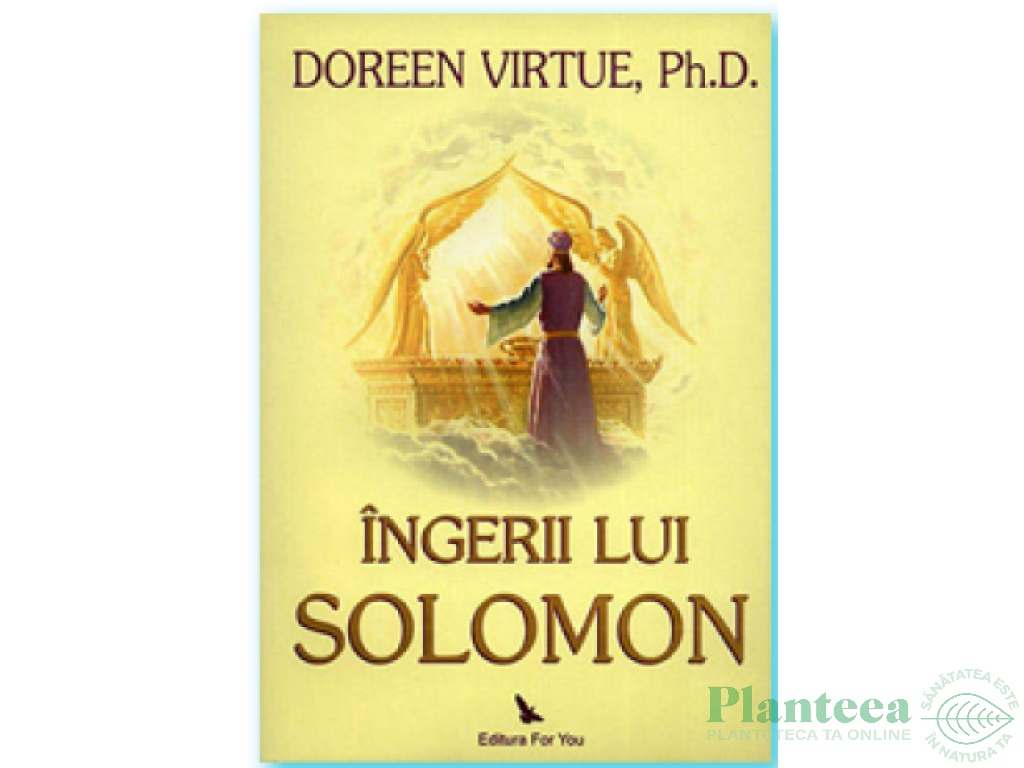Carte Ingerii lui Solomon 206pg - EDITURA FOR YOU