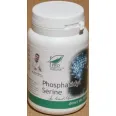 Phosphatidyl serine 60cps - MEDICA