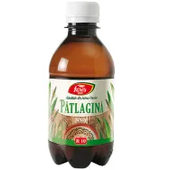 Sirop patlagina clasic 250ml - FARES