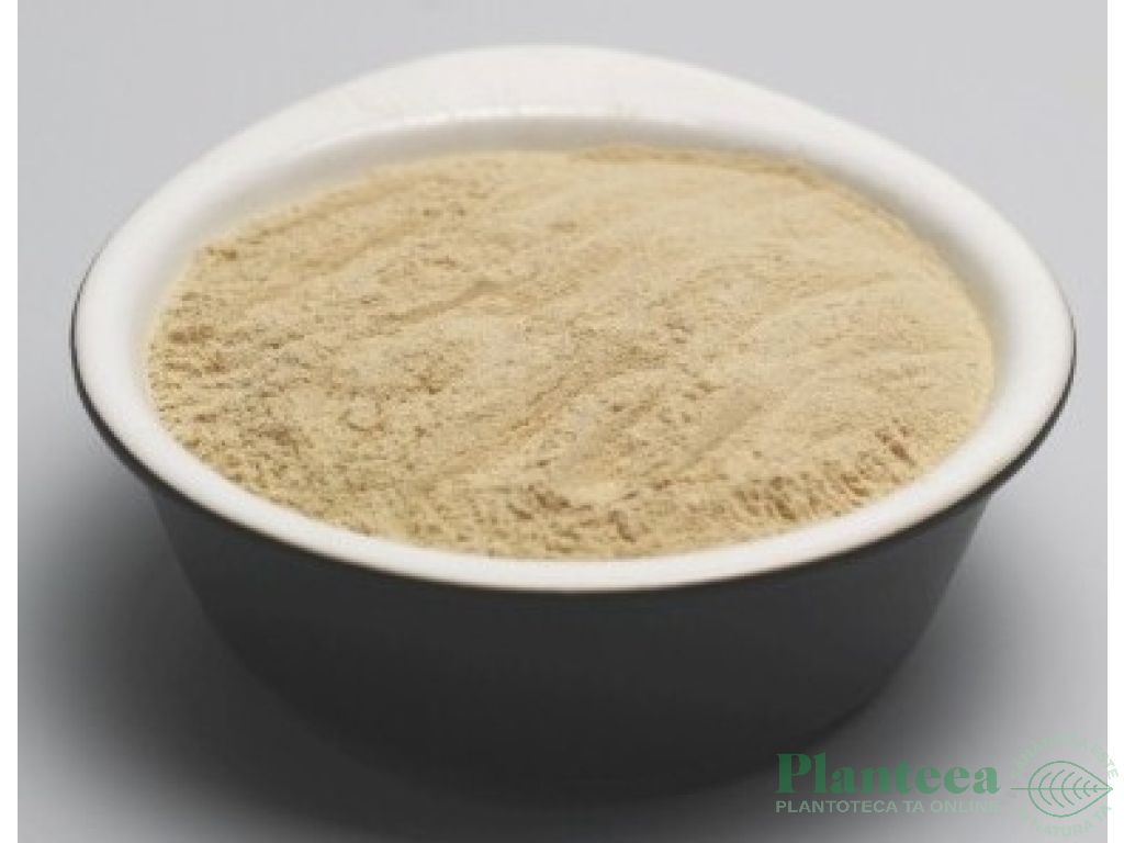 Pulbere mucuna pruriens 125g - EVERTRUST