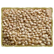 Quinoa alba boabe eco 500g - MY BIO