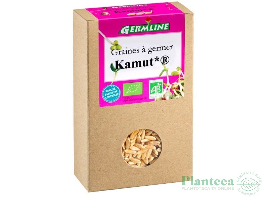Seminte kamut pt germinat eco 150g - GERMLINE