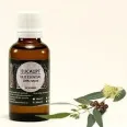 Ulei esential eucalipt 30ml - SANFLORA