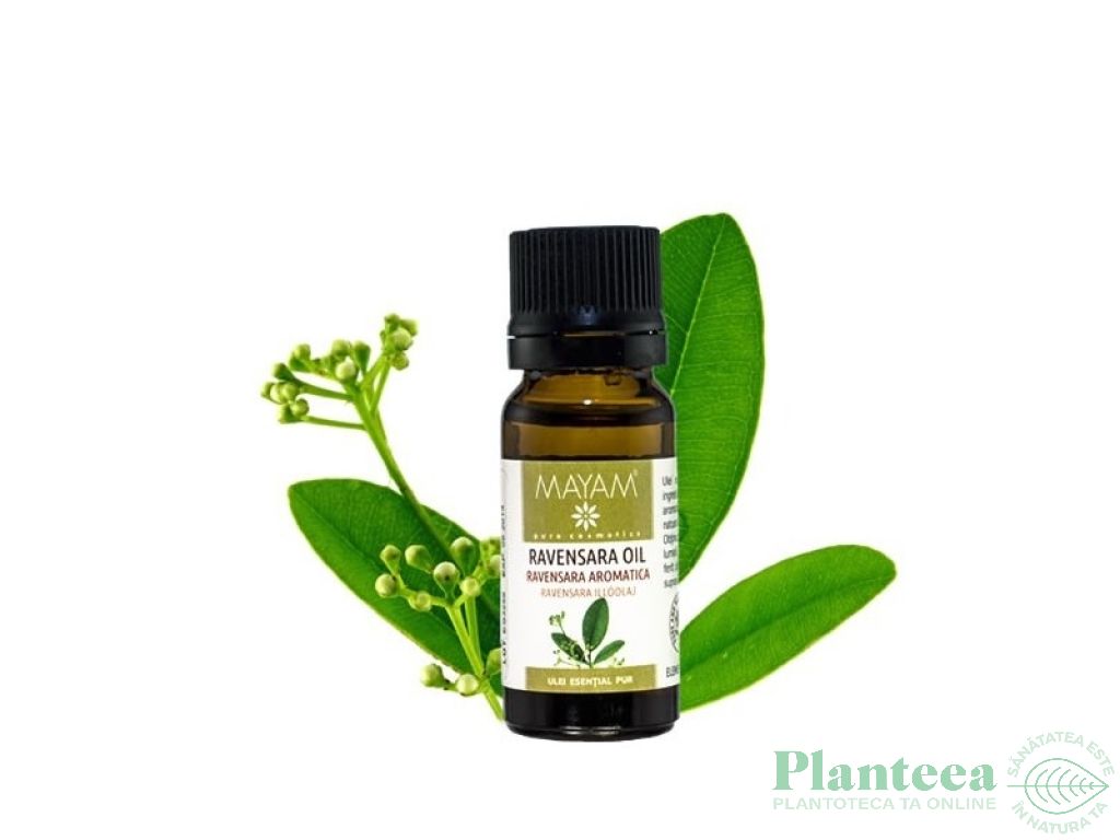 Ulei esential ravensara 10ml - MAYAM