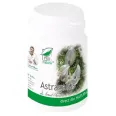 Astragalus 60cps - MEDICA