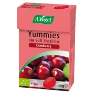 Bomboane merisoare eco 40g - A VOGEL