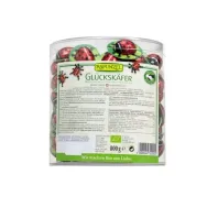Mamarute ciocolata lapte integral eco 800g - RAPUNZEL