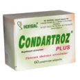 Condartroz plus 60cp - HOFIGAL