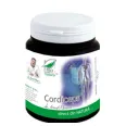Cordyceps 200cps - MEDICA