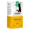 Ceai Deprestop 50g - SANTO RAPHAEL