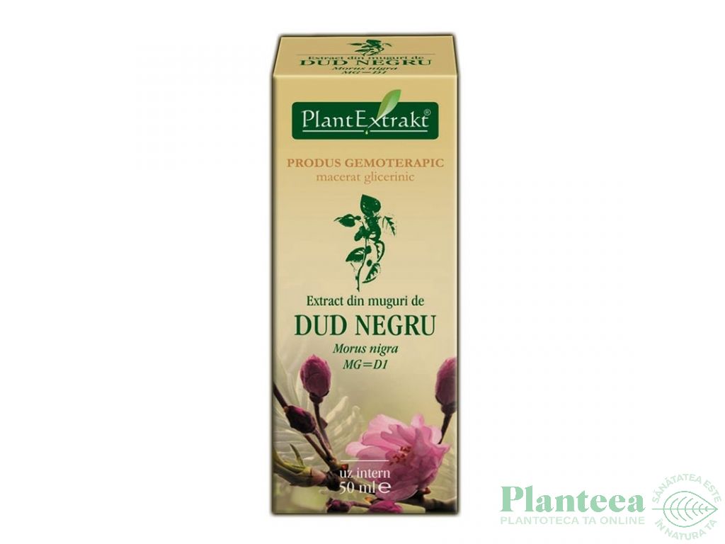 Gemoderivat dud negru muguri 50ml - PLANTEXTRAKT