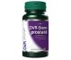 Stem Prostata 60cps - DVR PHARM