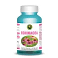 Echinaceea 60cps - HYPERICUM PLANT
