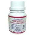 Echinaceea propolis menta 20cp - ELIDOR