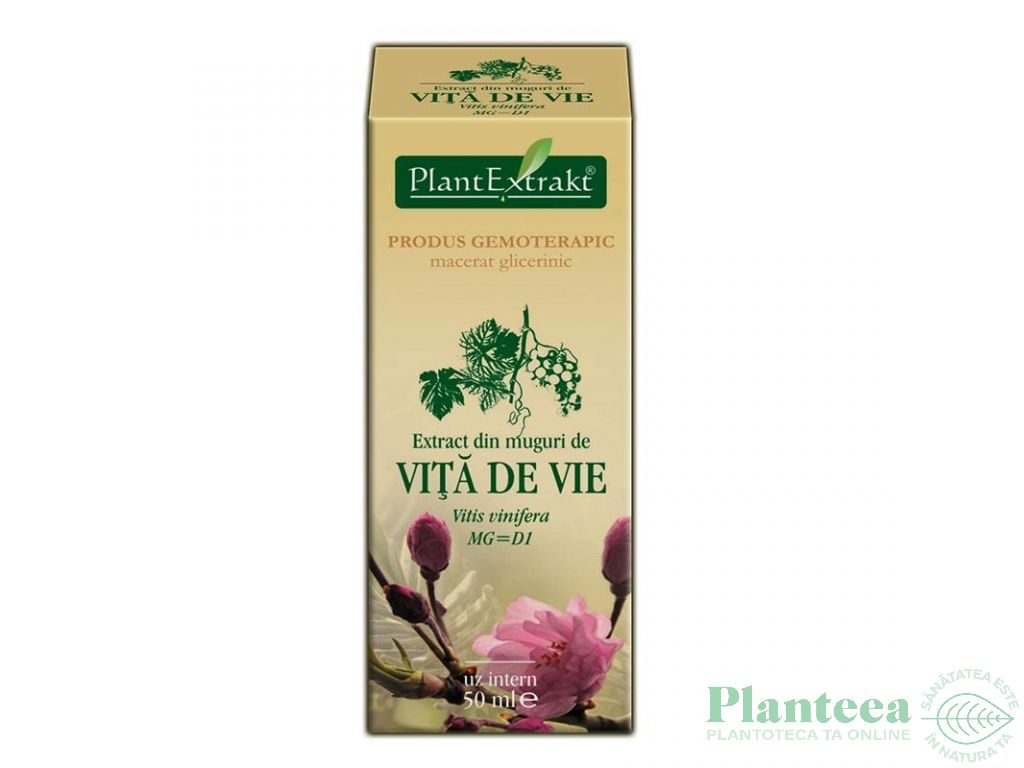 Gemoderivat vita vie muguri 50ml - PLANTEXTRAKT