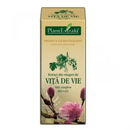 Gemoderivat vita vie muguri 50ml - PLANTEXTRAKT
