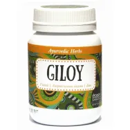Pulbere giloy bio 90g - DRAGON SUPERFOODS