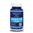 Ginkgo120+ stem 120cps - HERBAGETICA