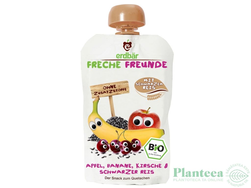Piure mere banane cirese orez bio 100g - ERDBAR