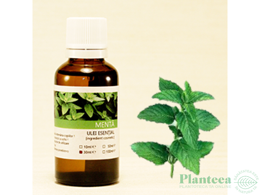 Ulei esential menta 100ml - SANFLORA