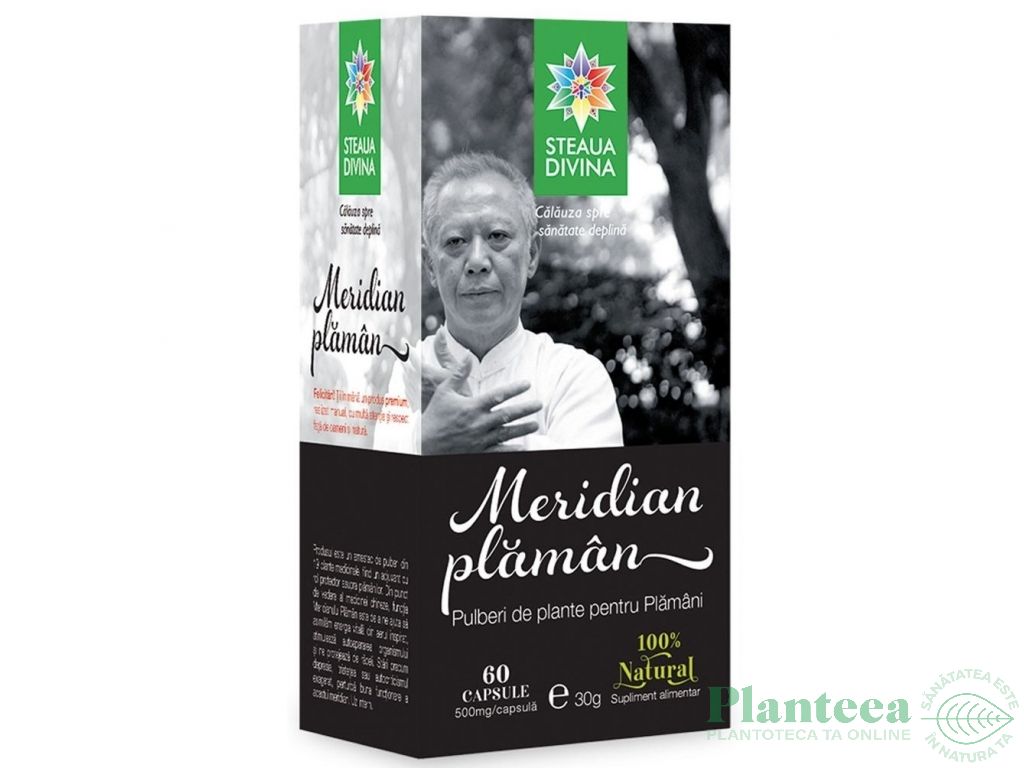 Meridian plaman 60cps - SANTO RAPHAEL