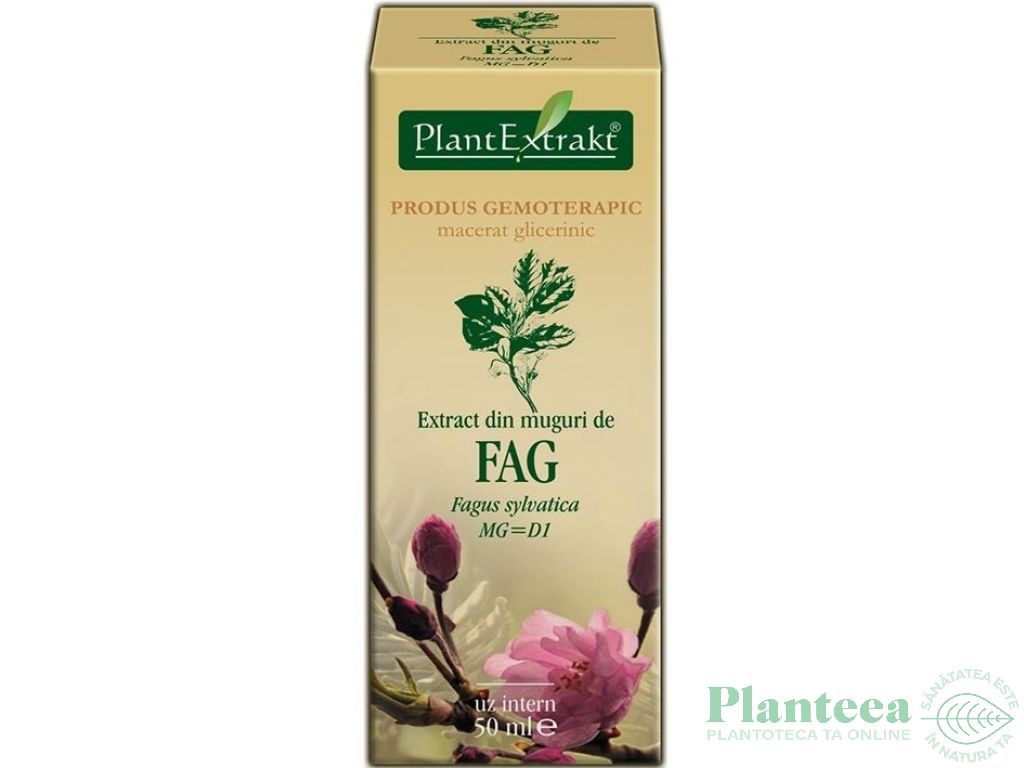 Gemoderivat fag muguri 50ml - PLANTEXTRAKT
