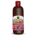 Sirop multifruct cu zahar invertit 500ml - HYPERICUM PLANT