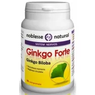 Ginkgo forte 500mg 30cp - NOBLESSE NATURAL