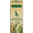 Gemoderivat mesteacan seva 50ml - PLANTEXTRAKT