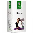 Protocol Silueta pt slabit 4b - PLANTEEA