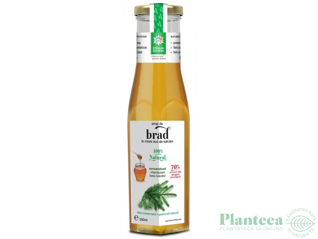 Sirop muguri brad in miere 230ml - SANTO RAPHAEL