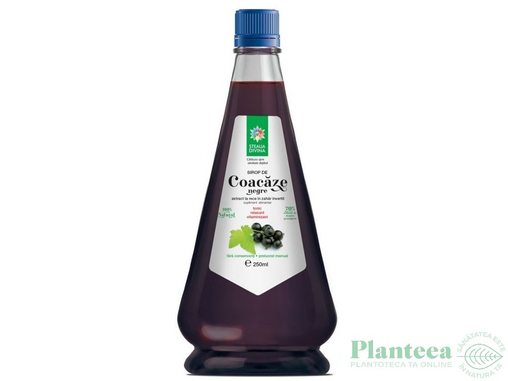 Sirop coacaze negre 250ml - SANTO RAPHAEL