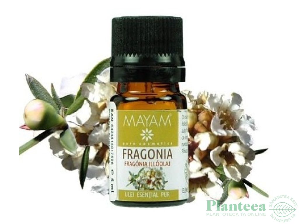 Ulei esential fragonia 5ml - MAYAM