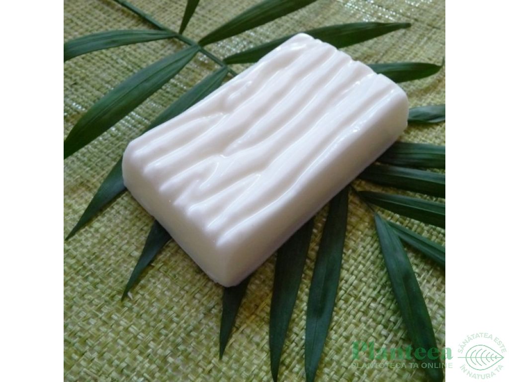 Forma sapun Wood 2cavitati - MAYAM
