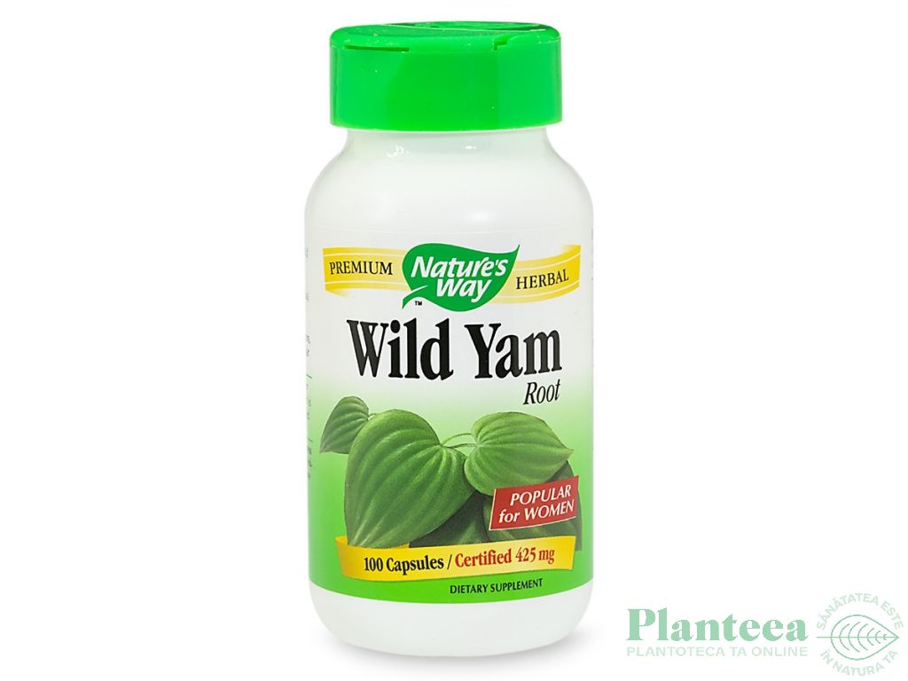 Wild yam root 100cps - NATURES WAY